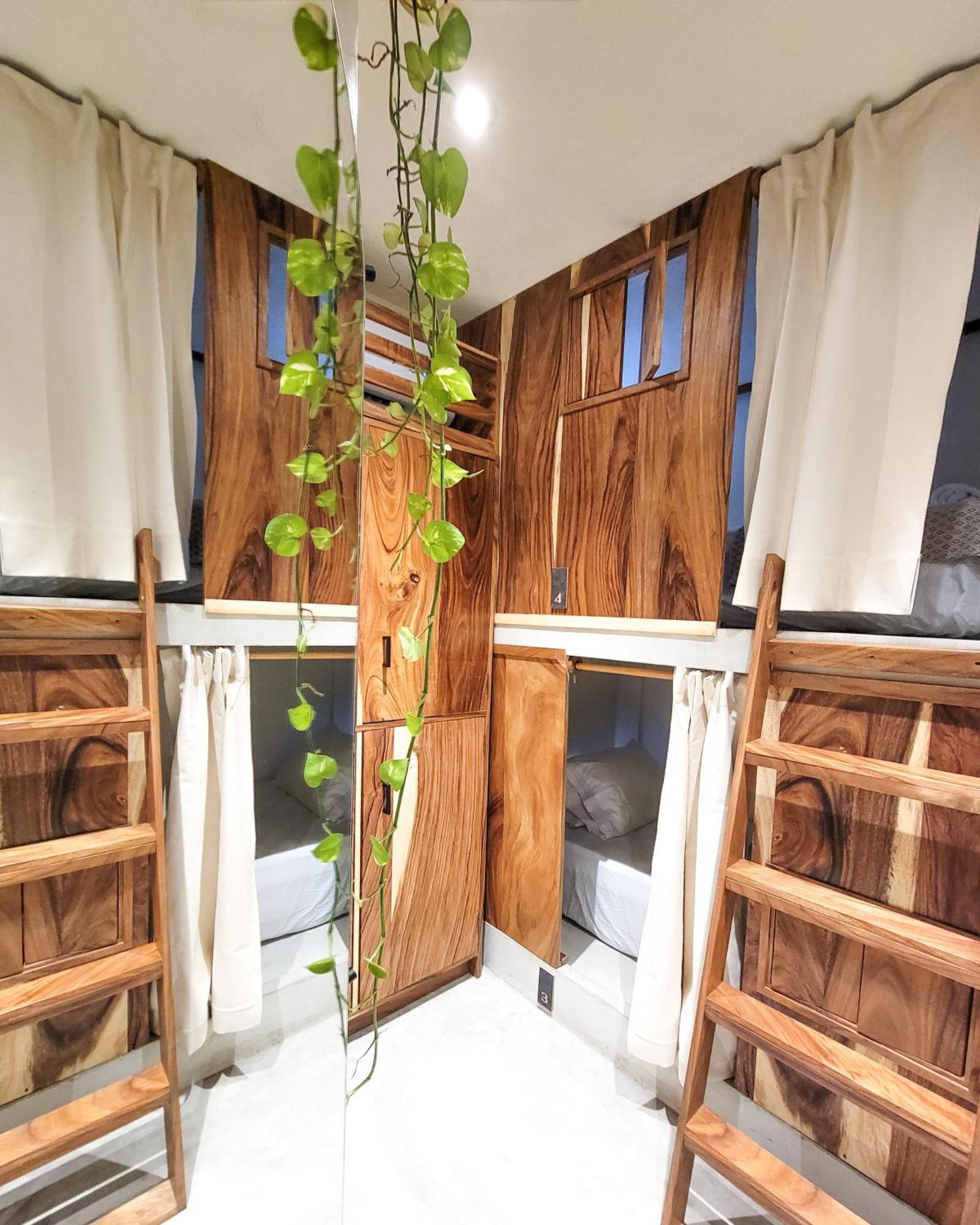 Caracola Boutique Hostel El Paredón Buena Vista Εξωτερικό φωτογραφία